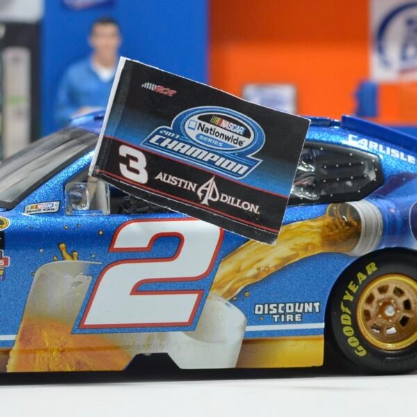 Drapeau 2013 Austin Dillon Nationwide Champion