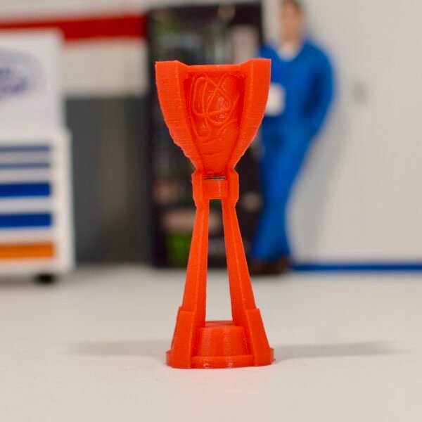 Trophées Cup (plusieurs options au choix) – Image 11