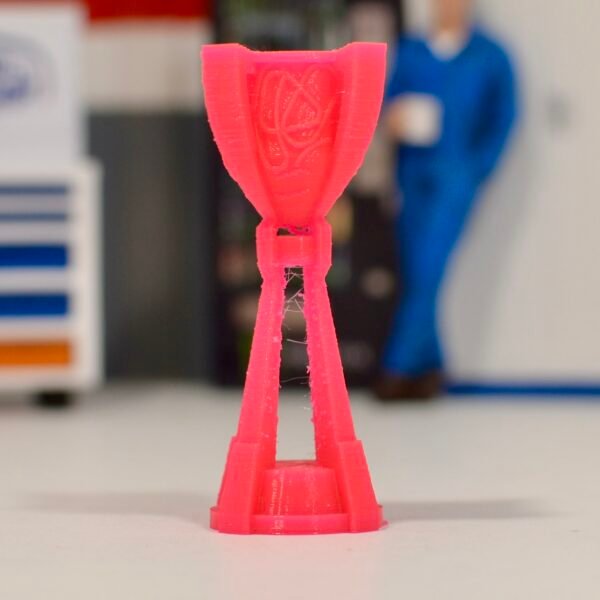 Trophées Cup (plusieurs options au choix) – Image 8