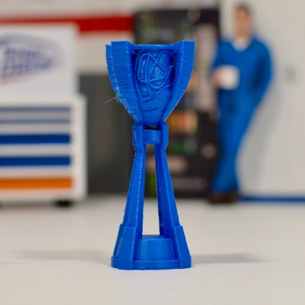 Trophées Cup (plusieurs options au choix) – Image 10