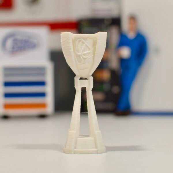 Trophées Cup (plusieurs options au choix) – Image 7