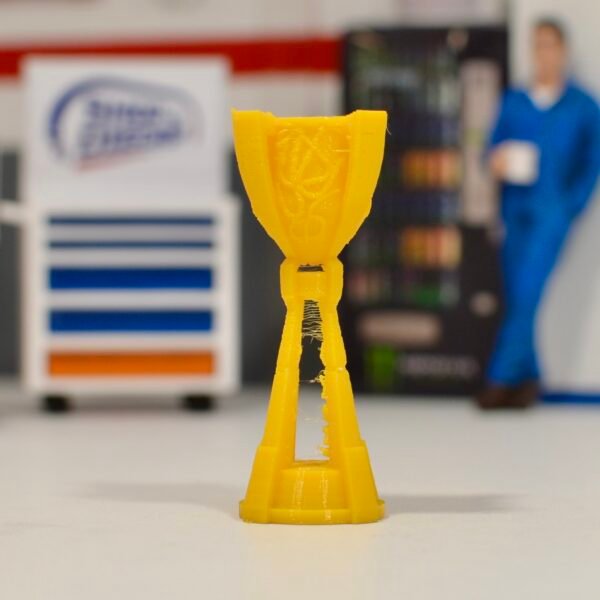 Trophées Cup (plusieurs options au choix) – Image 6