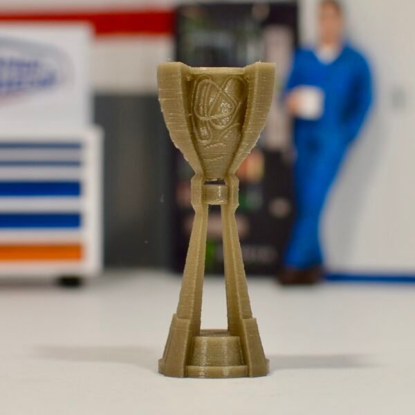 Trophées Cup (plusieurs options au choix) – Image 5