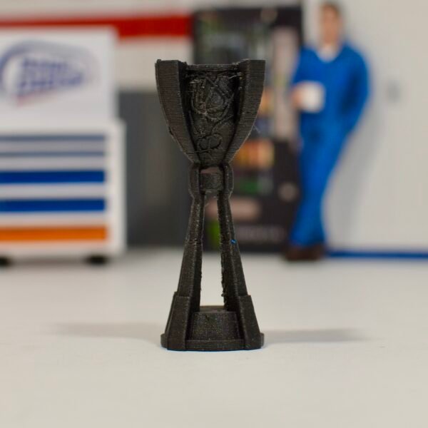 Trophées Cup (plusieurs options au choix) – Image 4