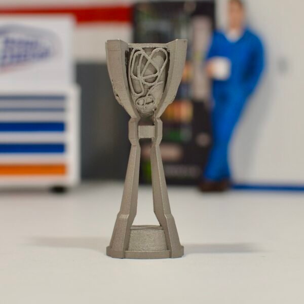 Trophées Cup (plusieurs options au choix) – Image 3