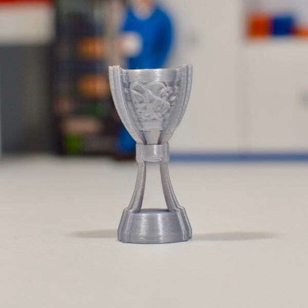 Trophées Cup (plusieurs options au choix) – Image 2