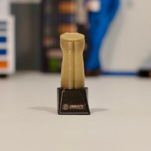 Trophée Charlotte Coca Cola 600 (2 options au choix)