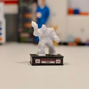 Trophée Dover