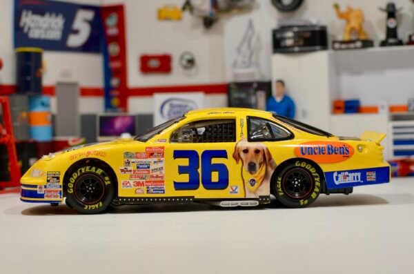 1999 Ernie Irvan #36 M & M Pedigree 1/24 ARC Standard – Image 6