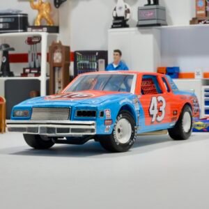 1981 RICHARD PETTY #43 STP 1981 North Wilkesboro Win 1/24 ARC Standard