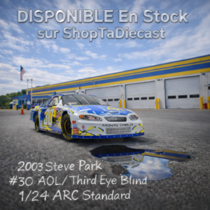 2003 Steve Park #30 AOL/ Third Eye Blind 1/24 ARC Standard