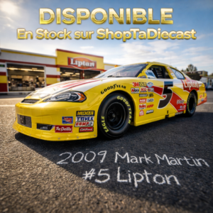 2009 Mark Martin #5 Lipton 1/24 ARC Standard
