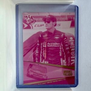 2014 PressPass #65 Miguel Paludo Magenta